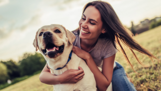 Online hundetræning